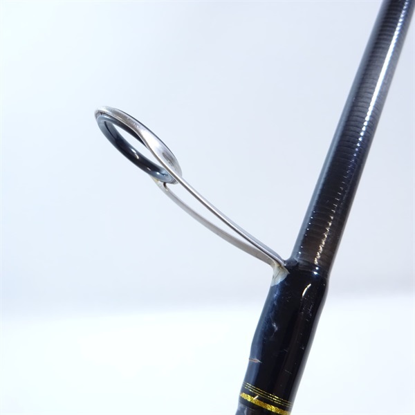 ２１シーバスハンターＸ９６Ｍ
